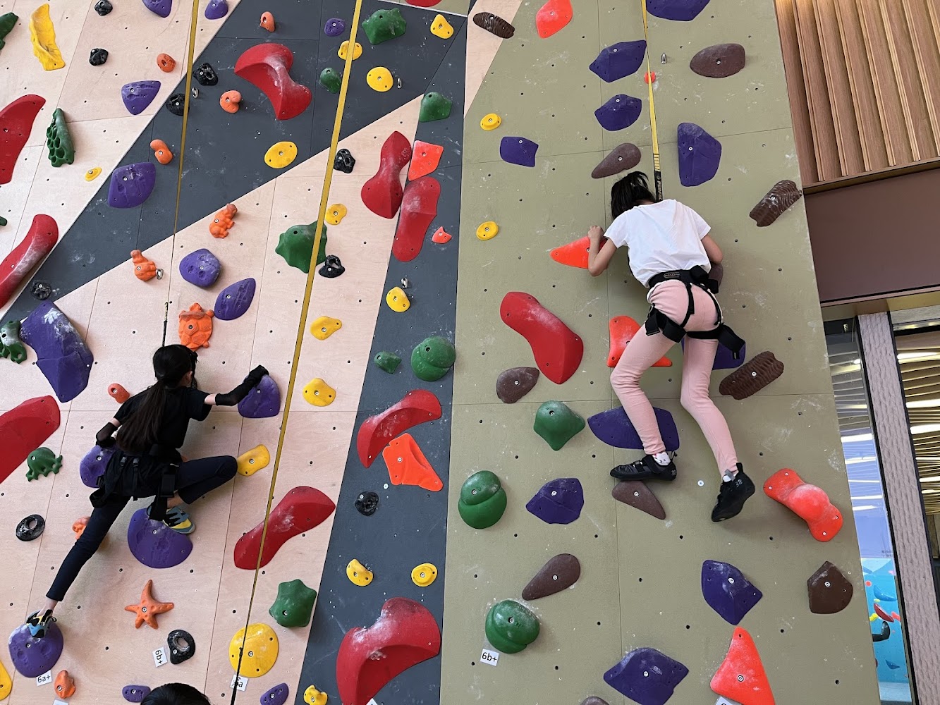 Hong Kong Climbing Park Yuen Long photo 5