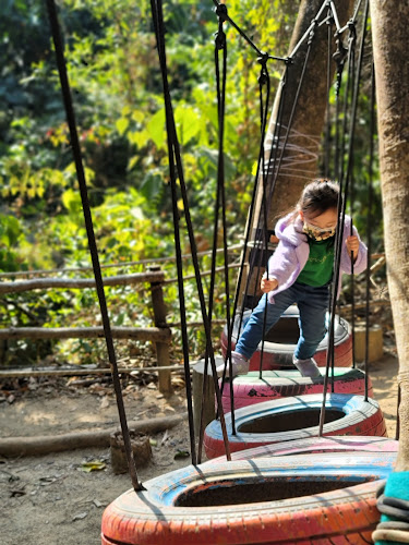 Hong Kong Forest Adventures