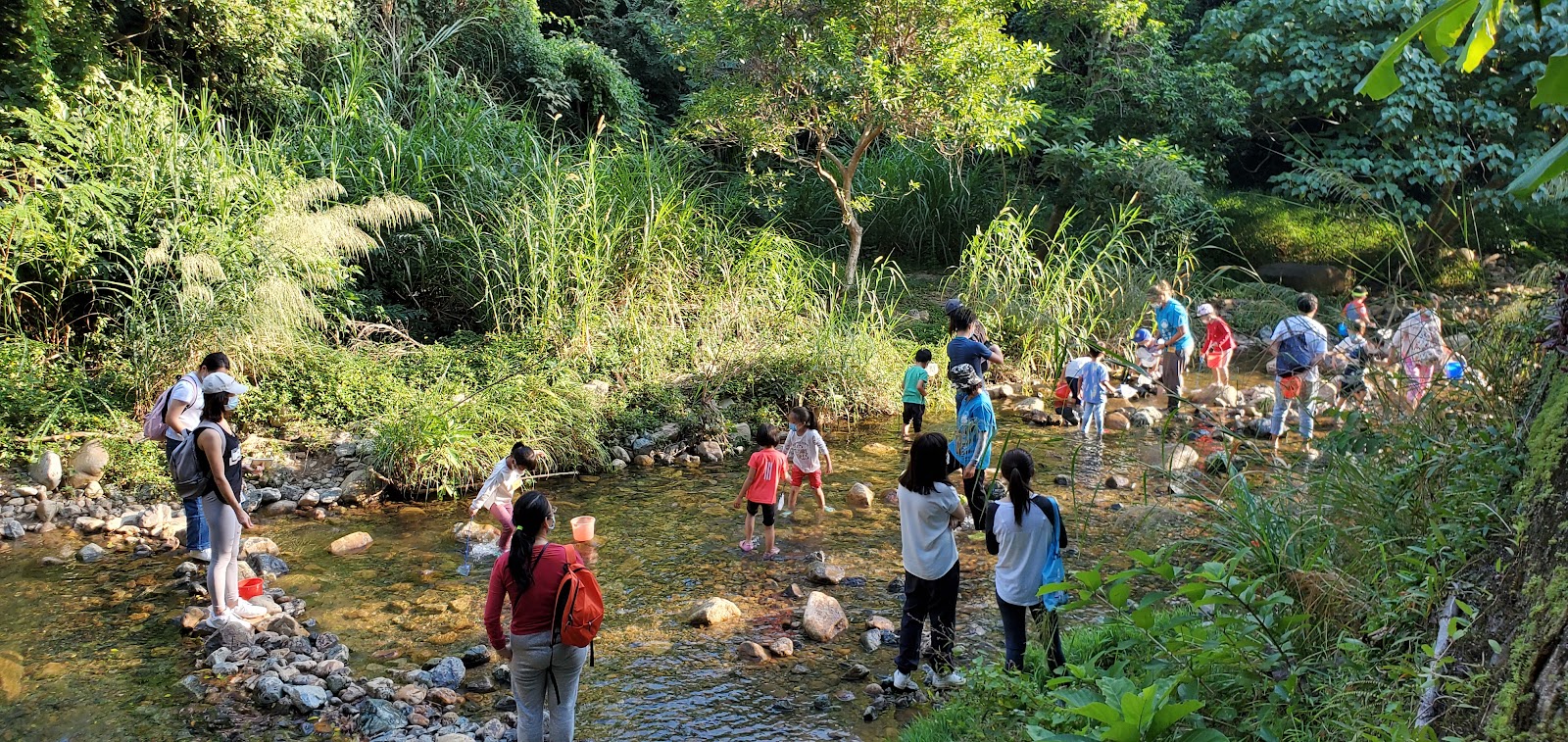 Hong Kong Forest Adventures photo 4