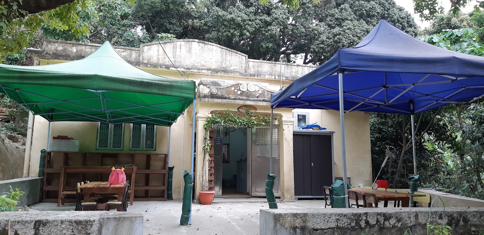 Hong Kong Forest Adventures photo 5