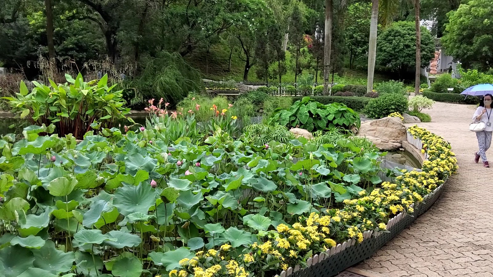 Hong Kong Park photo 3