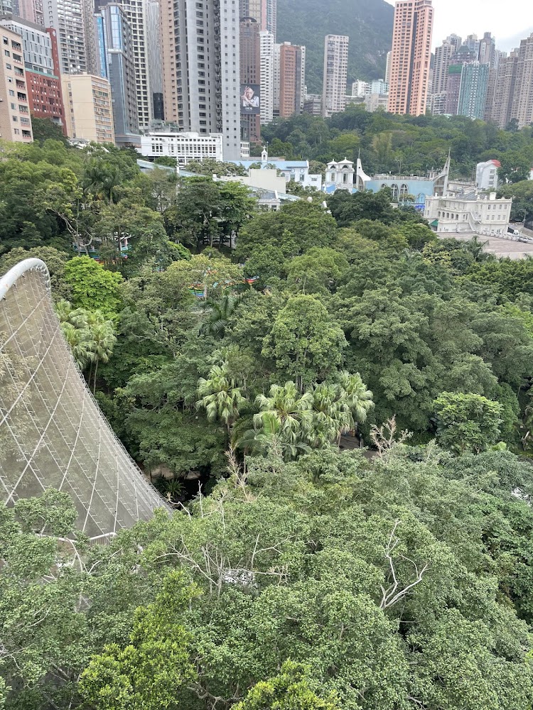 Hong Kong Park photo 4