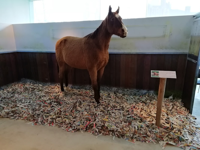 Hong Kong Racing Museum