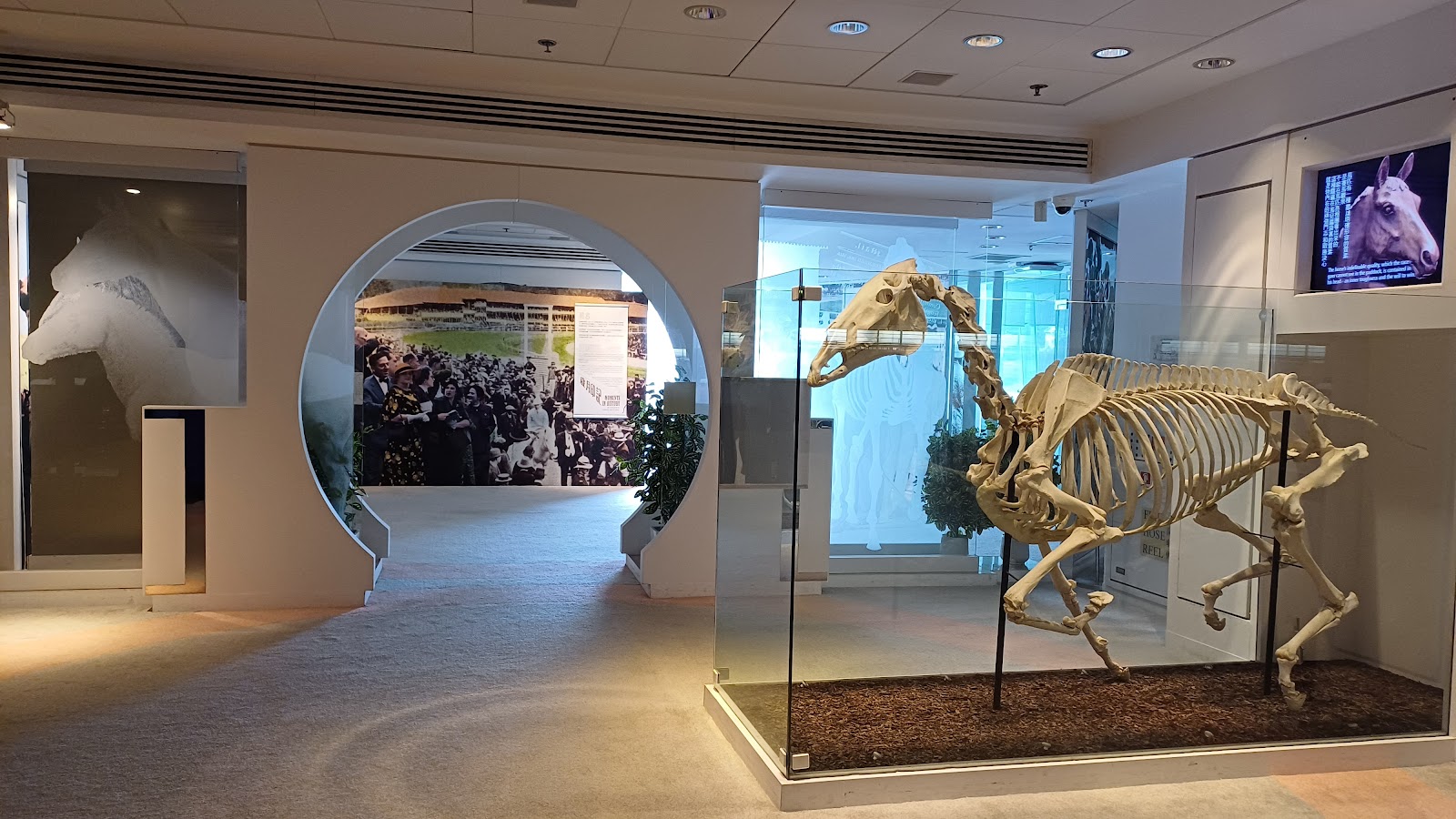 Hong Kong Racing Museum photo 5
