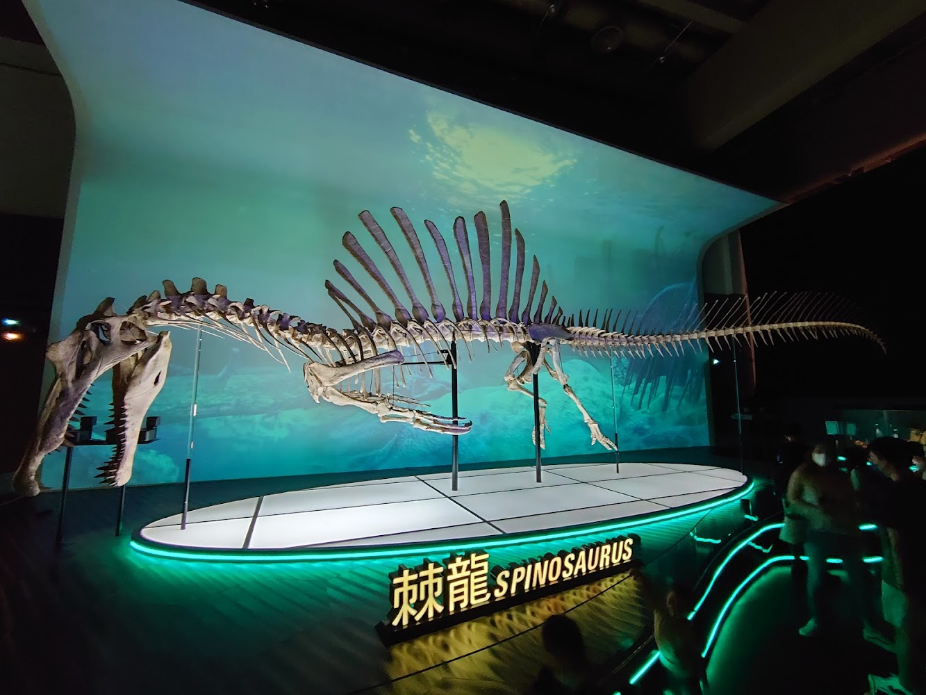 Hong Kong Science Museum photo 2