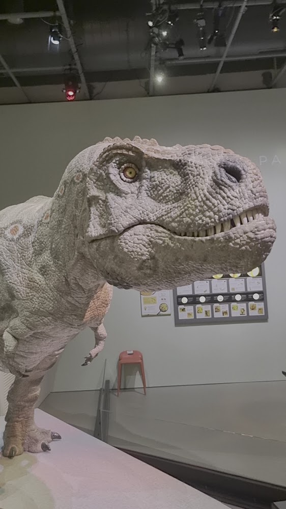 Hong Kong Science Museum photo 3