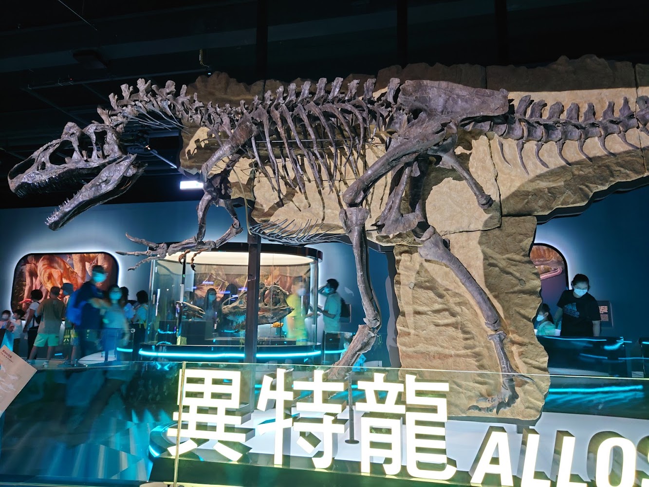 Hong Kong Science Museum photo 4