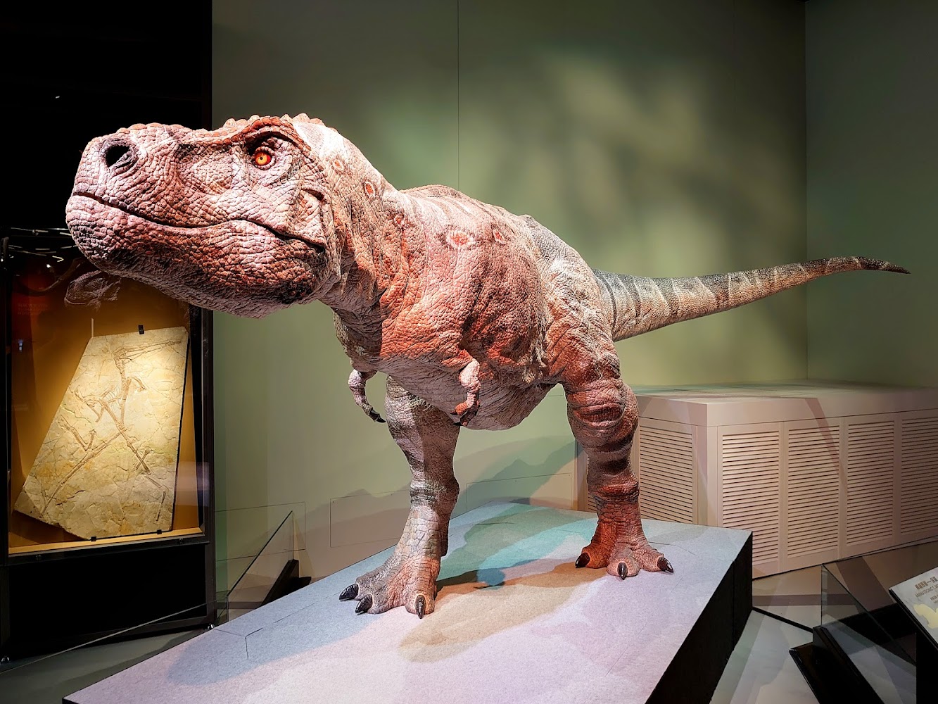 Hong Kong Science Museum photo 5