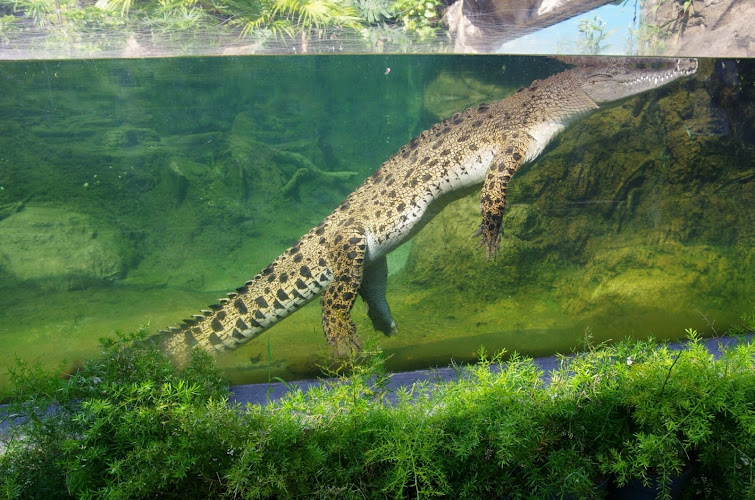 Hong Kong Wetland Park