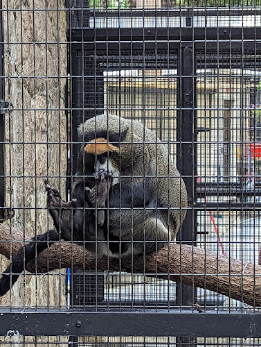 Hong Kong Zoological and Botanical Gardens