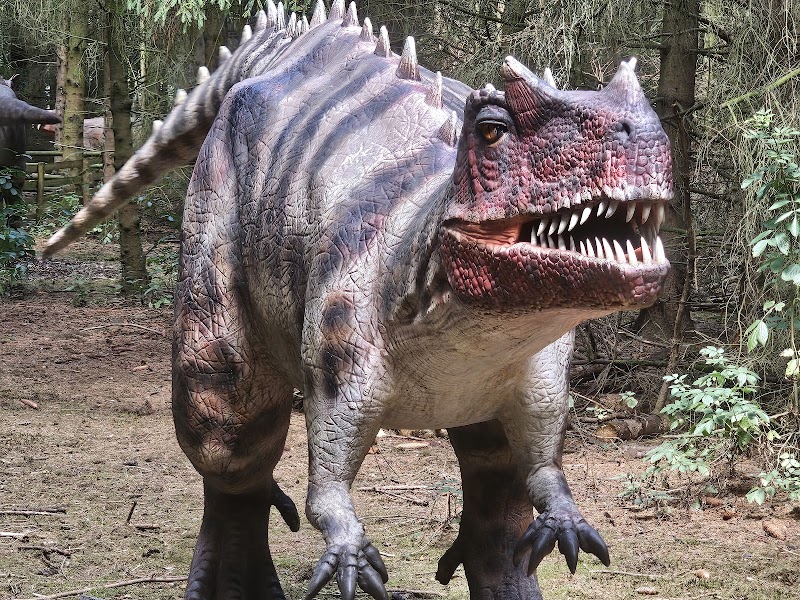 Hoo Zoo and Dinosaur World photo 2