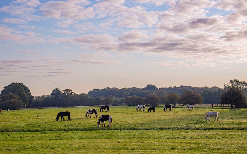 Hopefield Animal Sanctuary & Visitor Centre