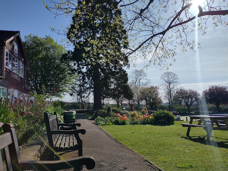Horfield Common Playground photo 2