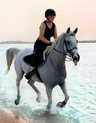 Horse Beach & Desert Riding | Abu Dhabi & Dubai