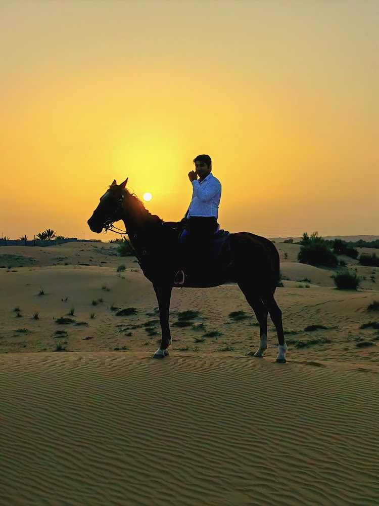 Horse Center UAE photo 2
