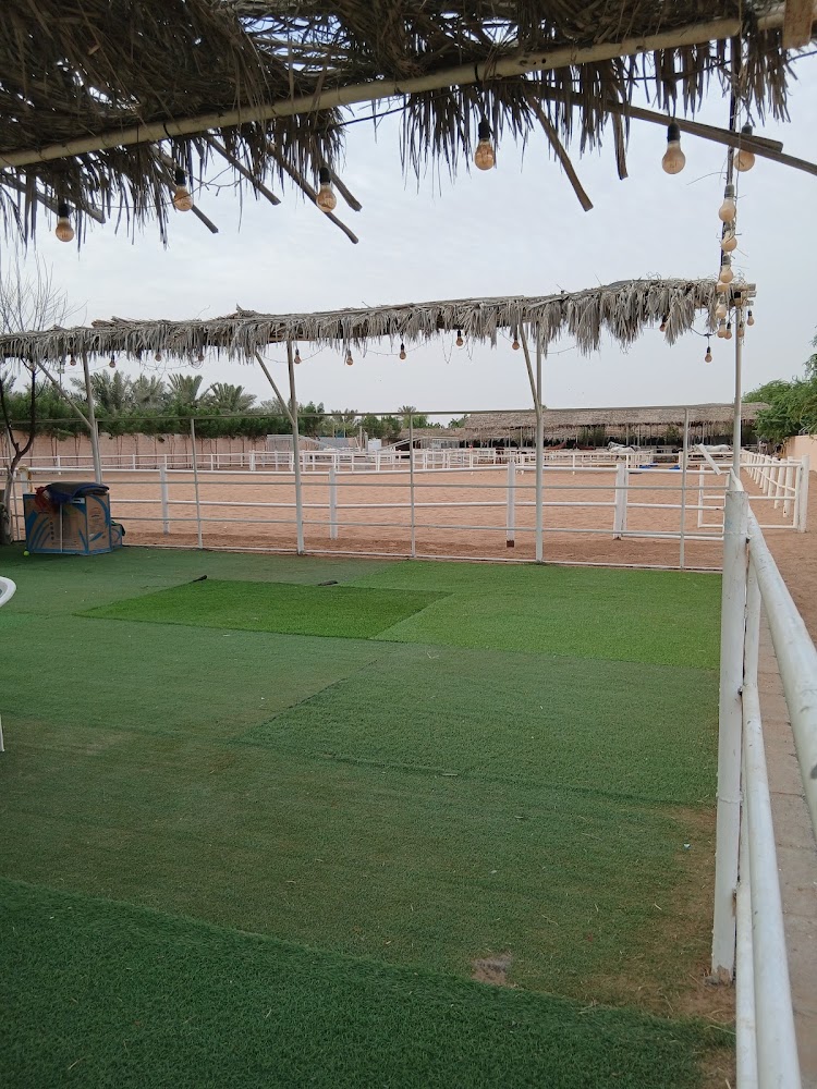 Horse Center UAE photo 4