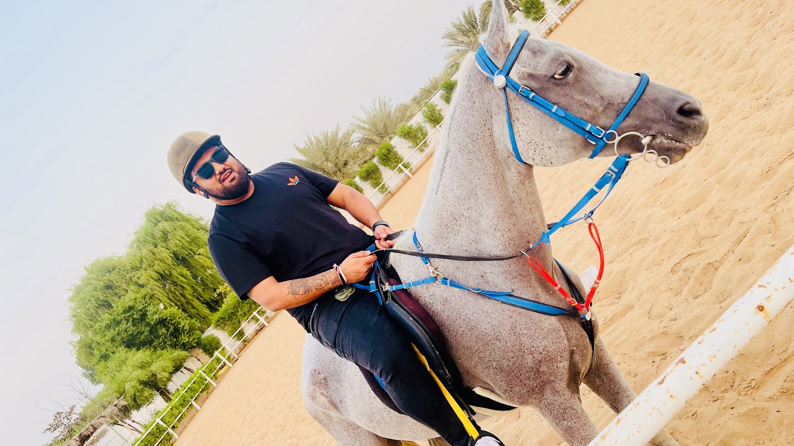 Horse Center UAE photo 5