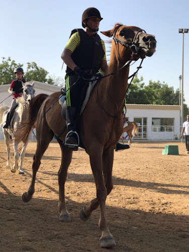 Horse Riding Club, Dubai