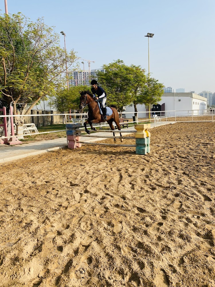 Horse Riding Club, Dubai photo 4