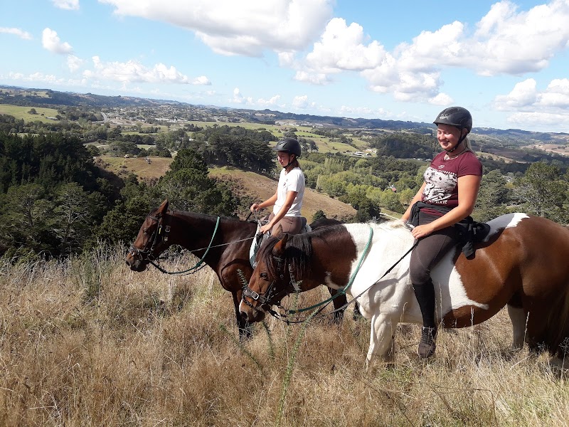 Photo of Horse Riding Warkworth in Auckland