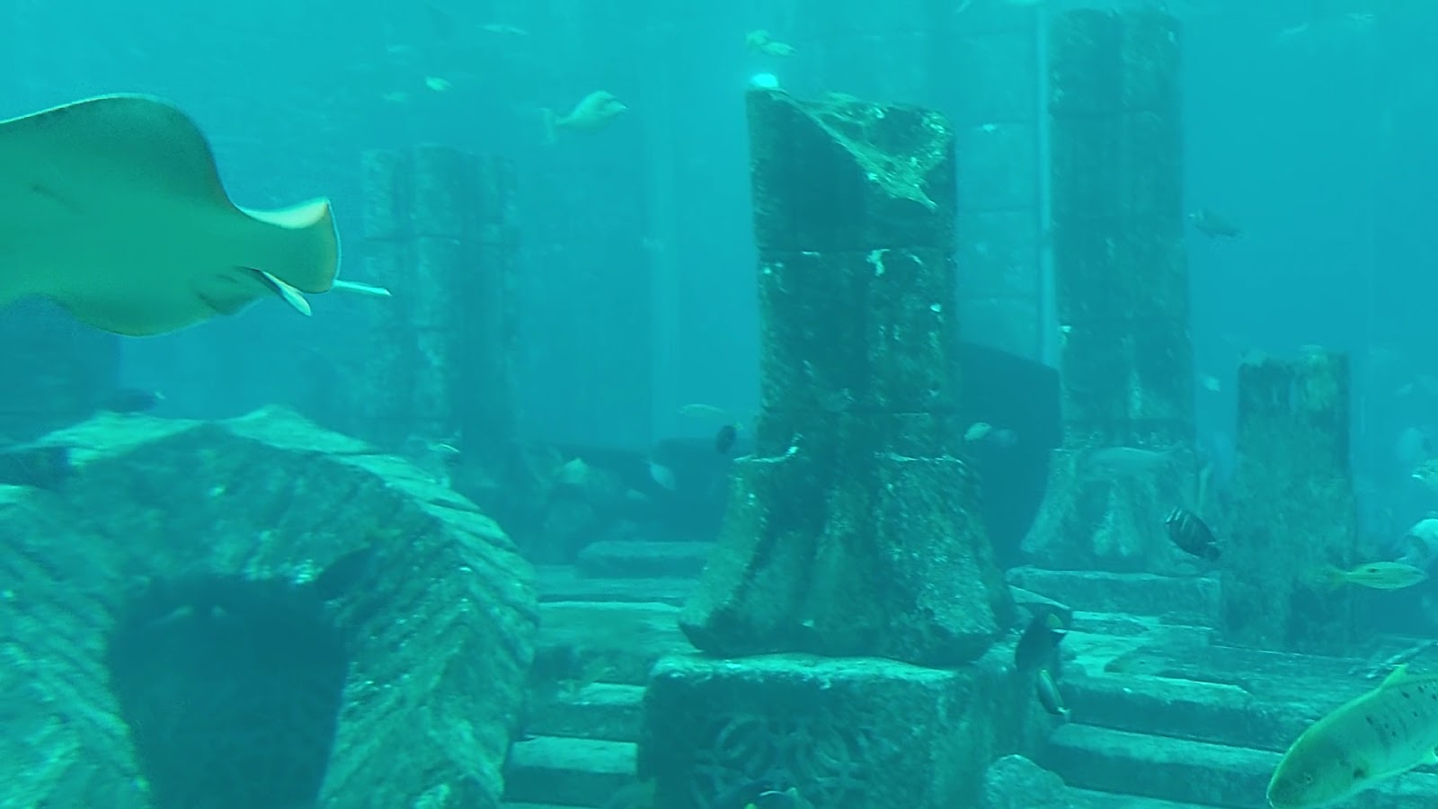 Hotel Aquarium - Atlantis, The Palm