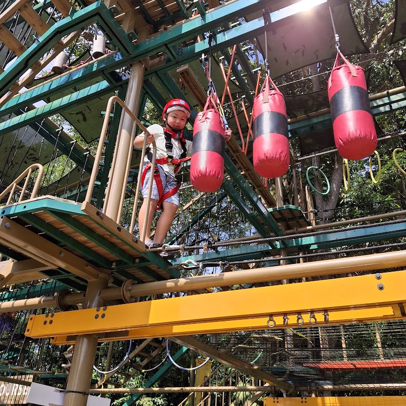 Houbii Spot Singapore