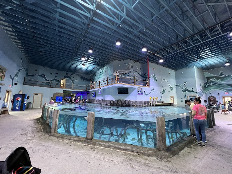 Photo of Houston Interactive Aquarium & Animal Preserve in Texas