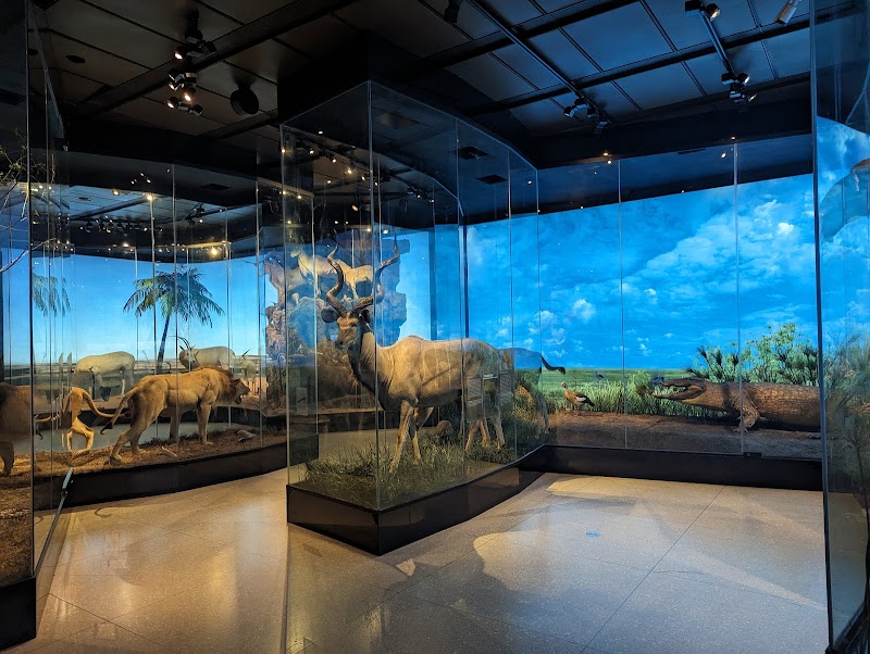 Houston Museum of Natural Science photo 2