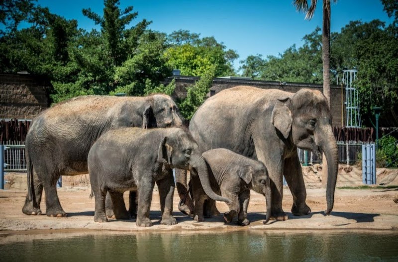 Houston Zoo photo 2