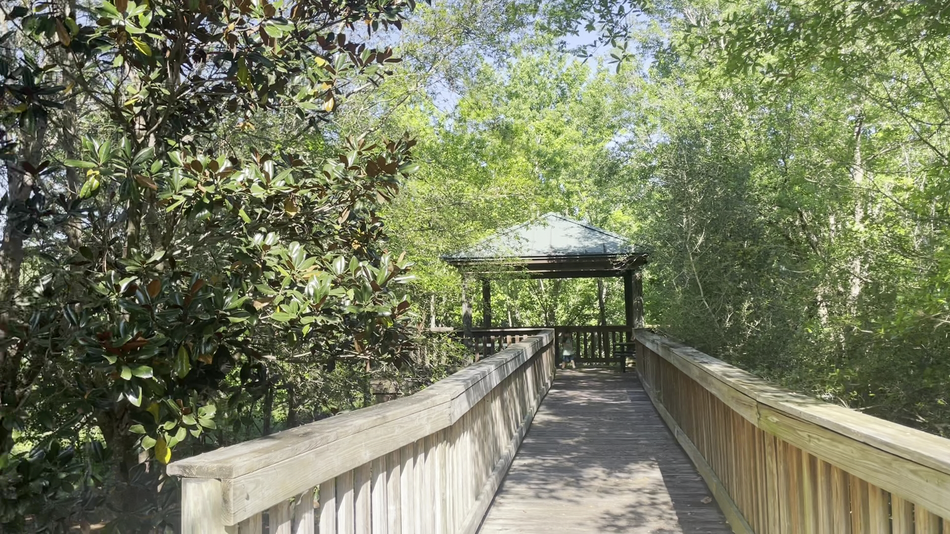 Howell Branch Preserve photo 2