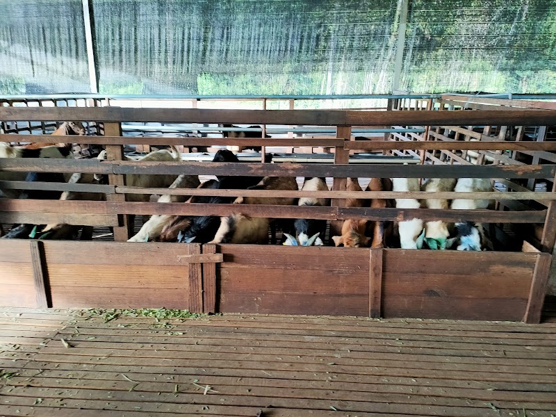 HT Goat Farm (Prowdmon) photo 2