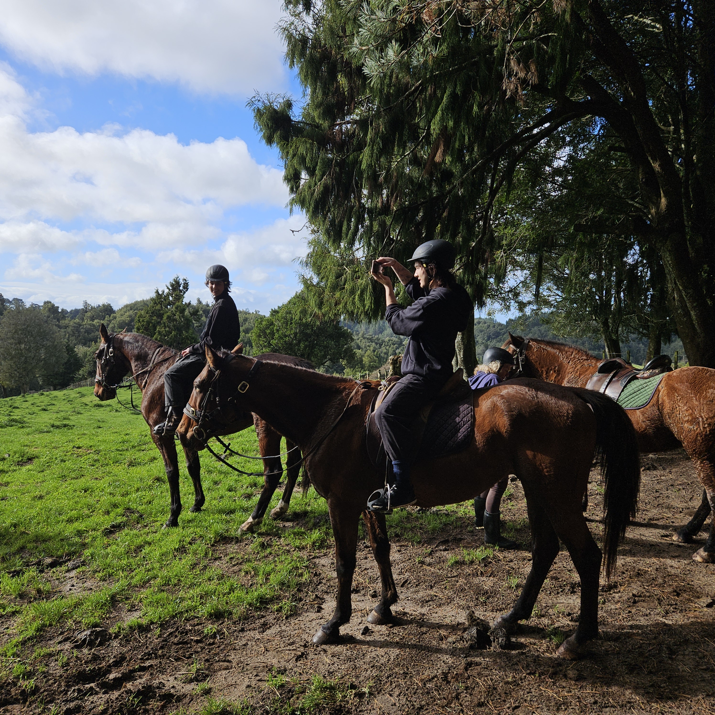 Huntaway Farms Horse Trekking photo 4