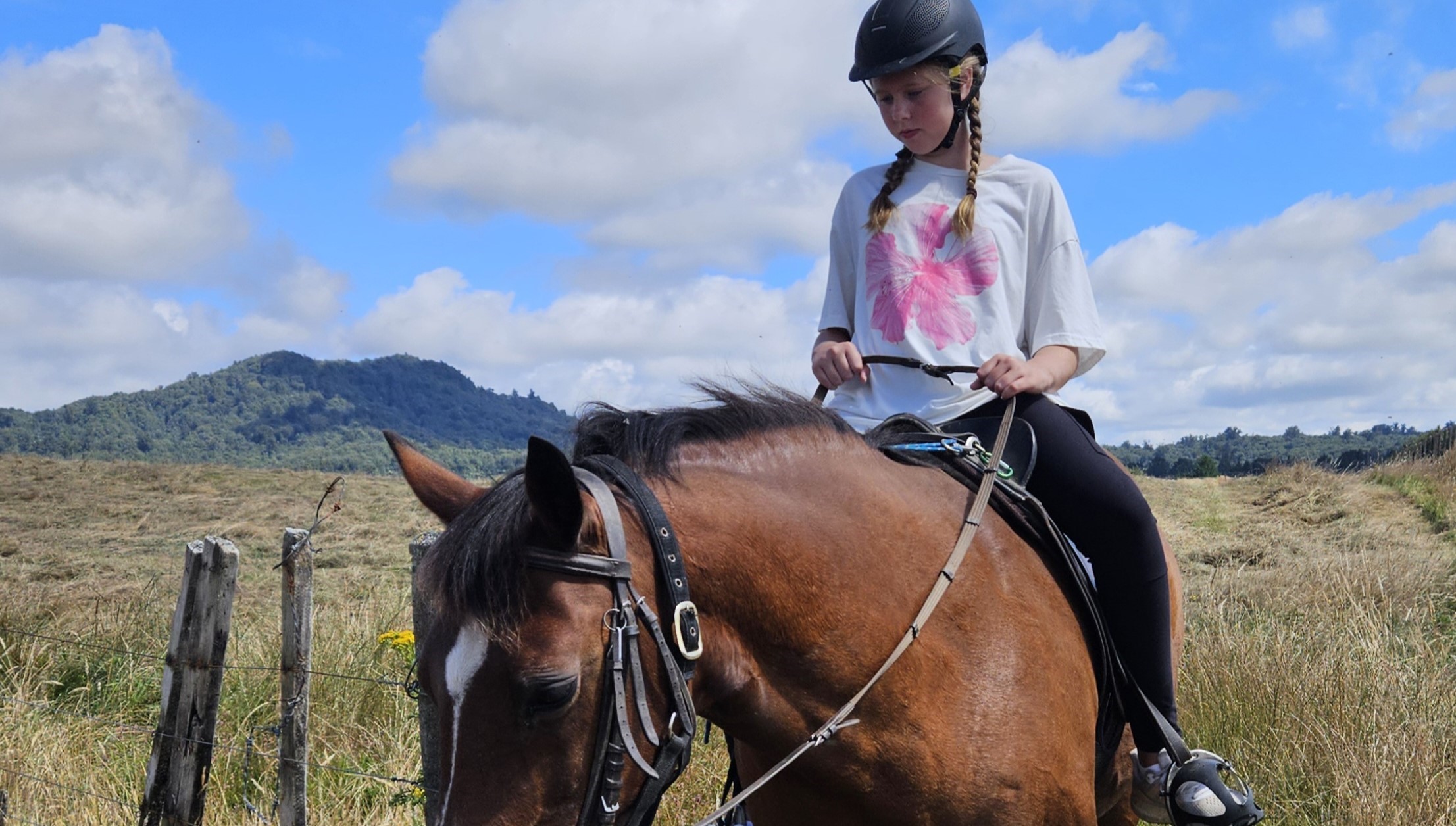 Huntaway Farms Horse Trekking photo 5