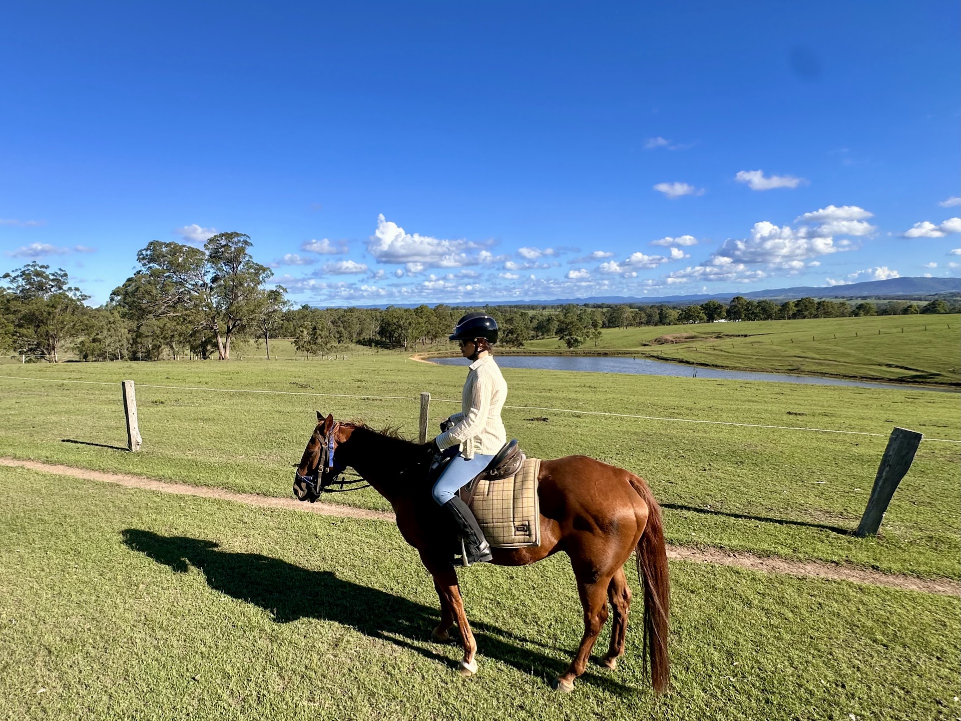 Hunter Valley Horse Riding & Adventures photo 2