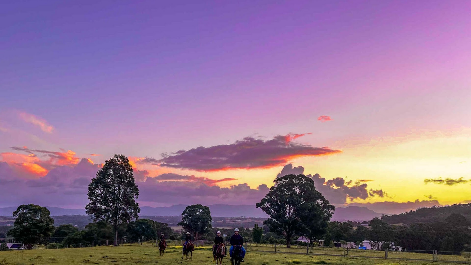 Hunter Valley Horse Riding & Adventures