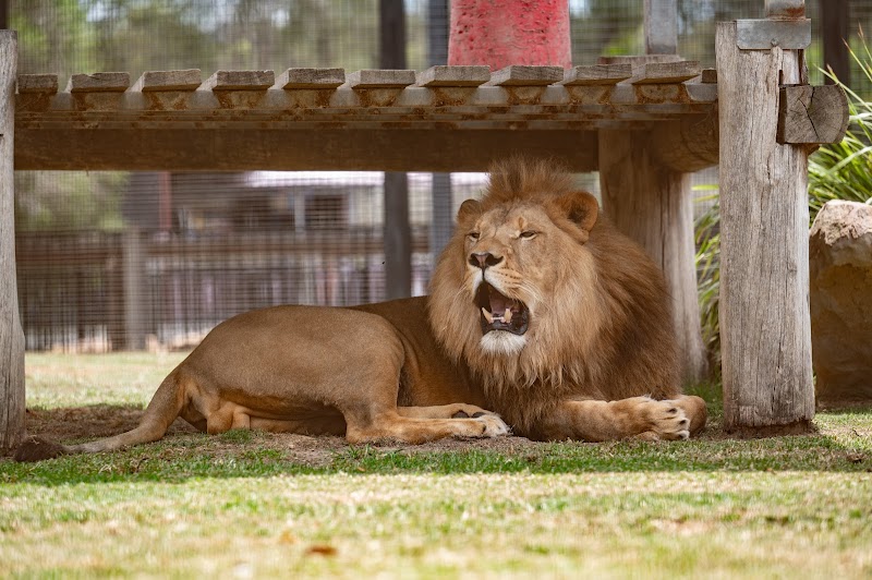 Hunter Valley Wildlife Park