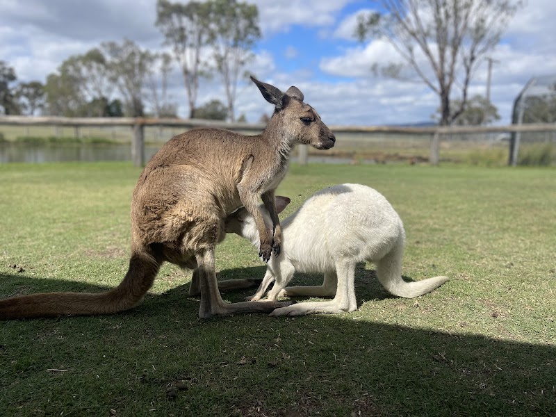 Hunter Valley Wildlife Park photo 2