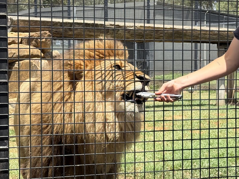 Hunter Valley Wildlife Park photo 3