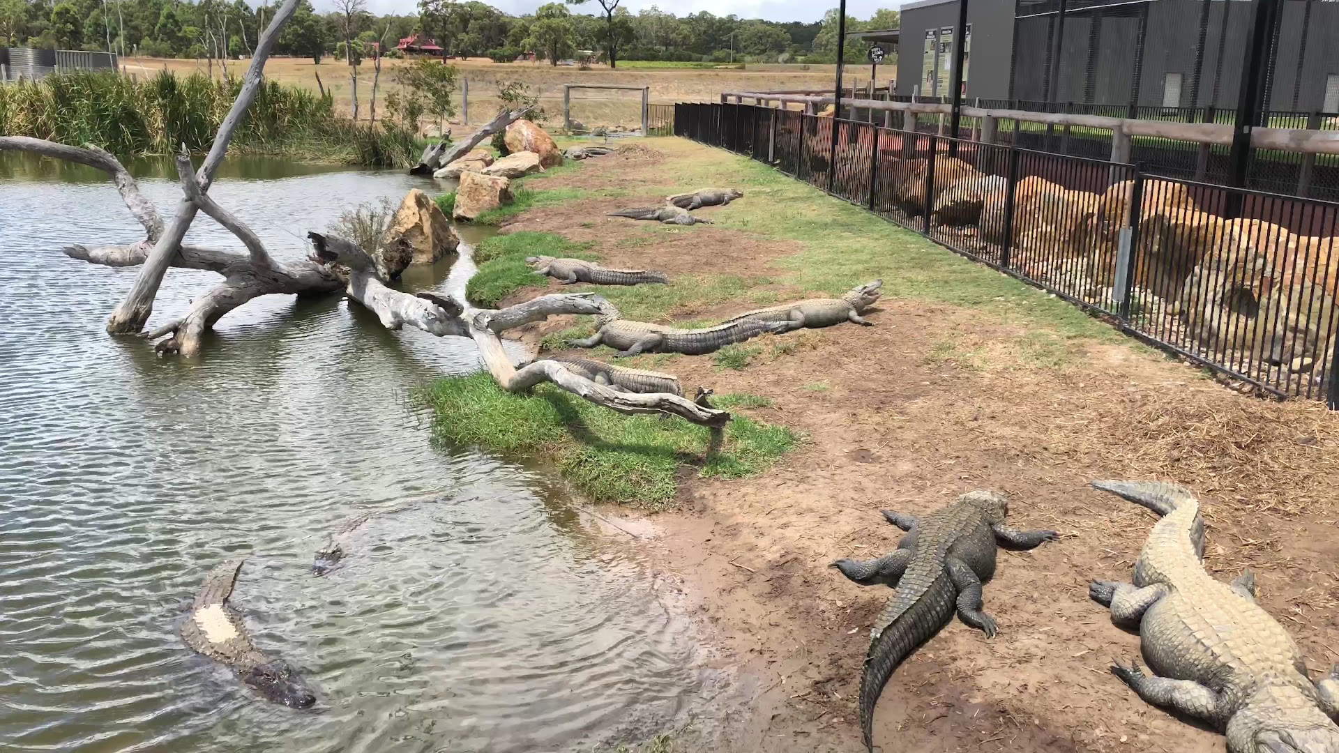 Hunter Valley Wildlife Park photo 2