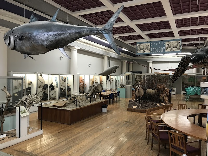 Hunterian Zoology Museum photo 2