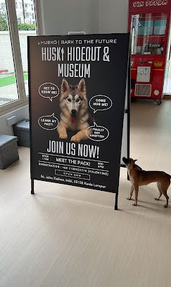 Husko Asia photo 2
