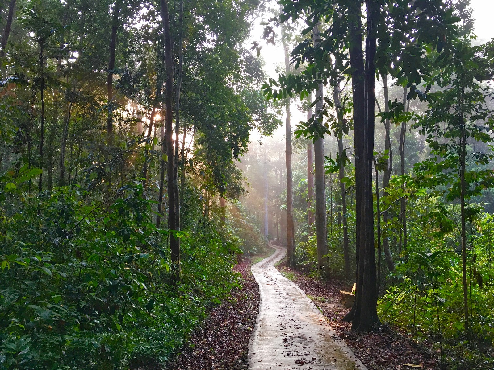 Hutan Rekreasi Sungai Udang photo 2