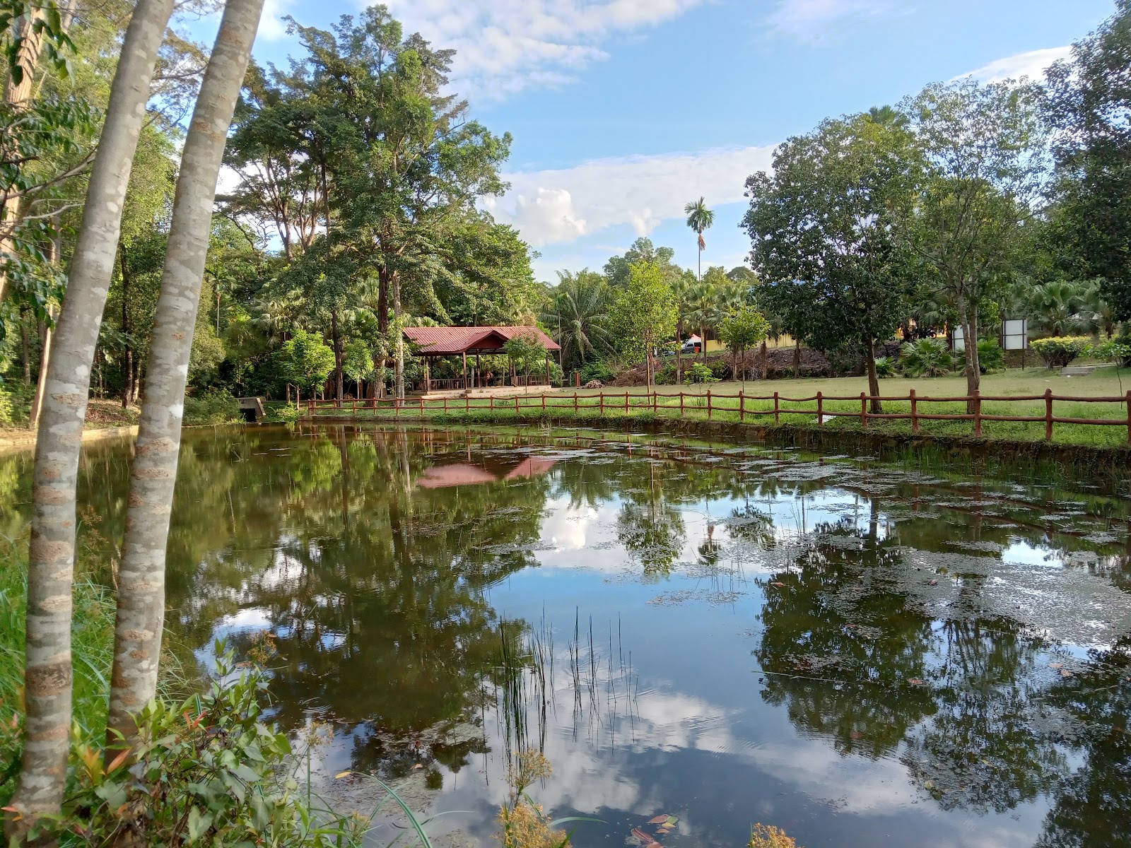 Hutan Rekreasi Sungai Udang photo 3