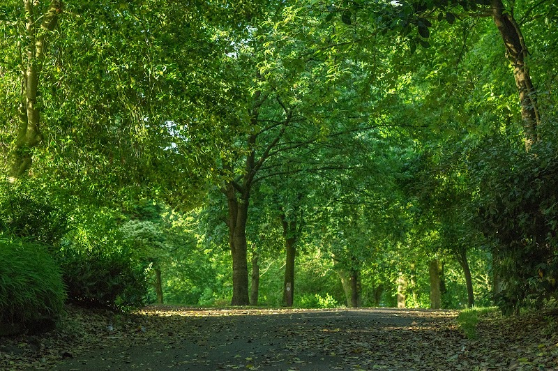 Hyde Park photo 2