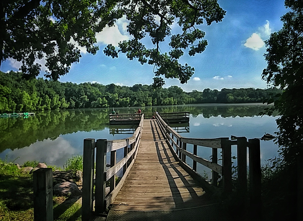 Hyland Lake Park Reserve