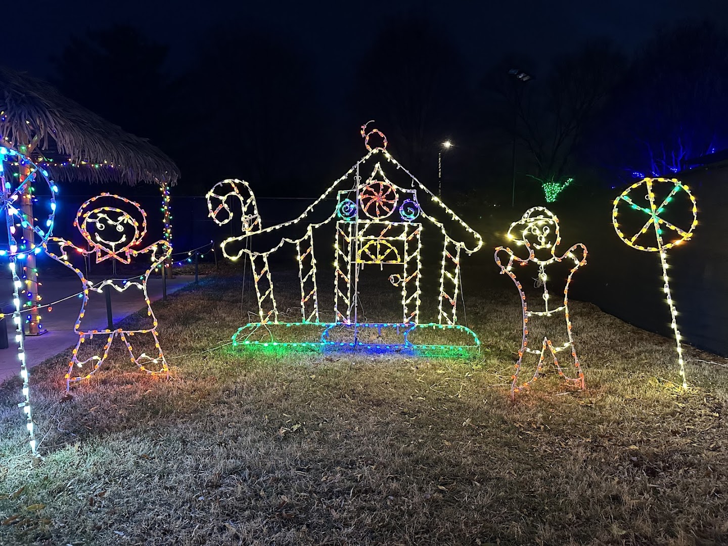Ice & Lights: The Winter Village at Cameron Run photo 3