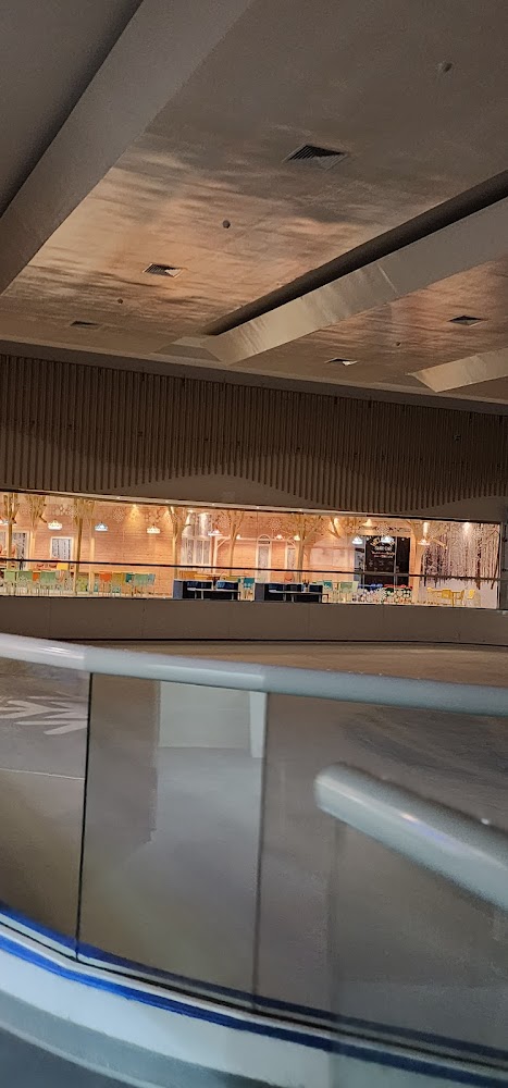 Ice Rink - Sports Complex photo 2