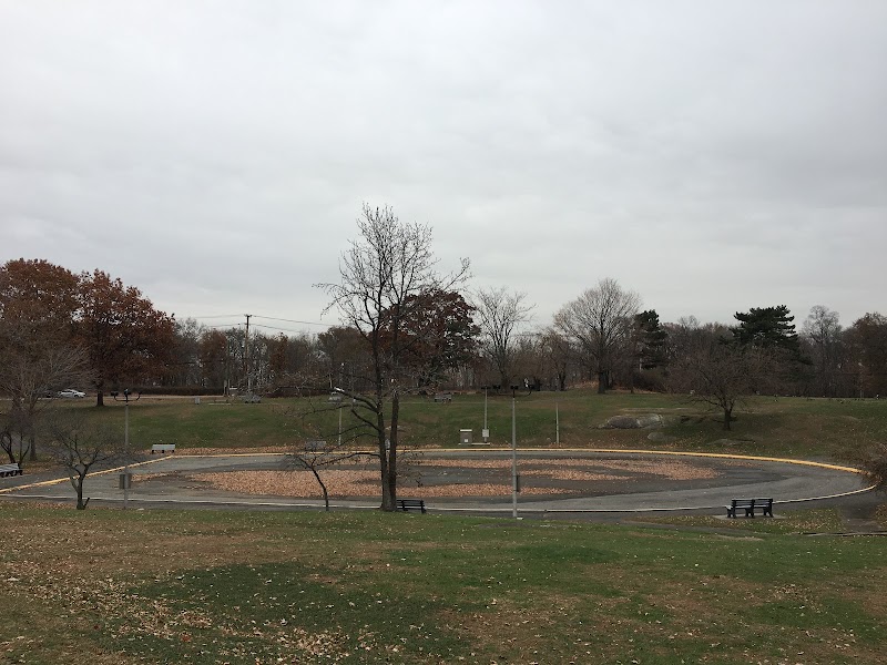 Ice Skate Park photo 3