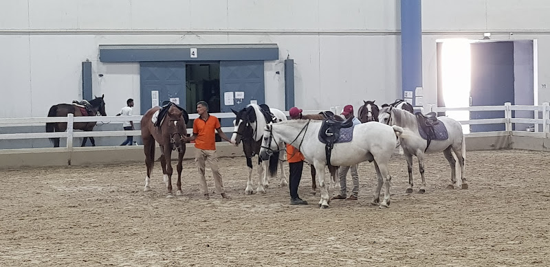 Indoor Riding Arena