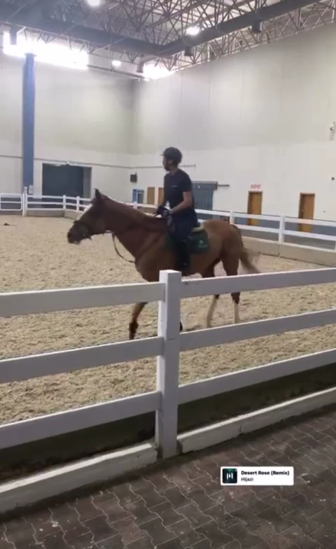 Indoor Riding Arena photo 3